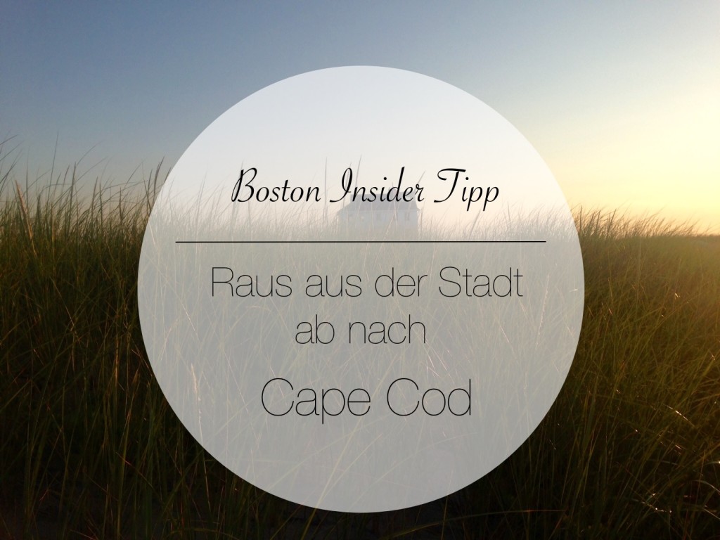Boston Insider Tipp: Fahrt nach Cape Cod!
