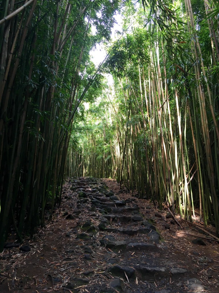 Maui Insider Tipps Wanderung